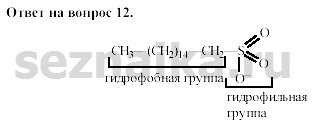 Ответ на задание 299 - ГДЗ по химии 11 класс Гузей, Суровцева, Лысова