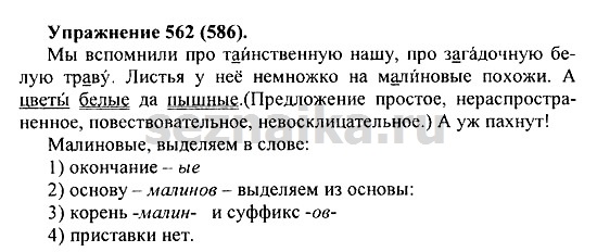 Ответ на задание 551 - ГДЗ по русскому языку 5 класс Купалова, Еремеева