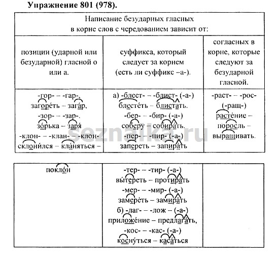 Ответ на задание 810 - ГДЗ по русскому языку 5 класс Купалова, Еремеева