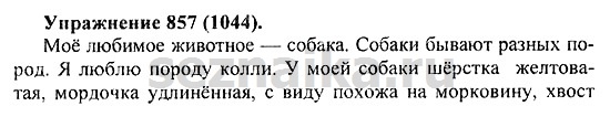Ответ на задание 873 - ГДЗ по русскому языку 5 класс Купалова, Еремеева